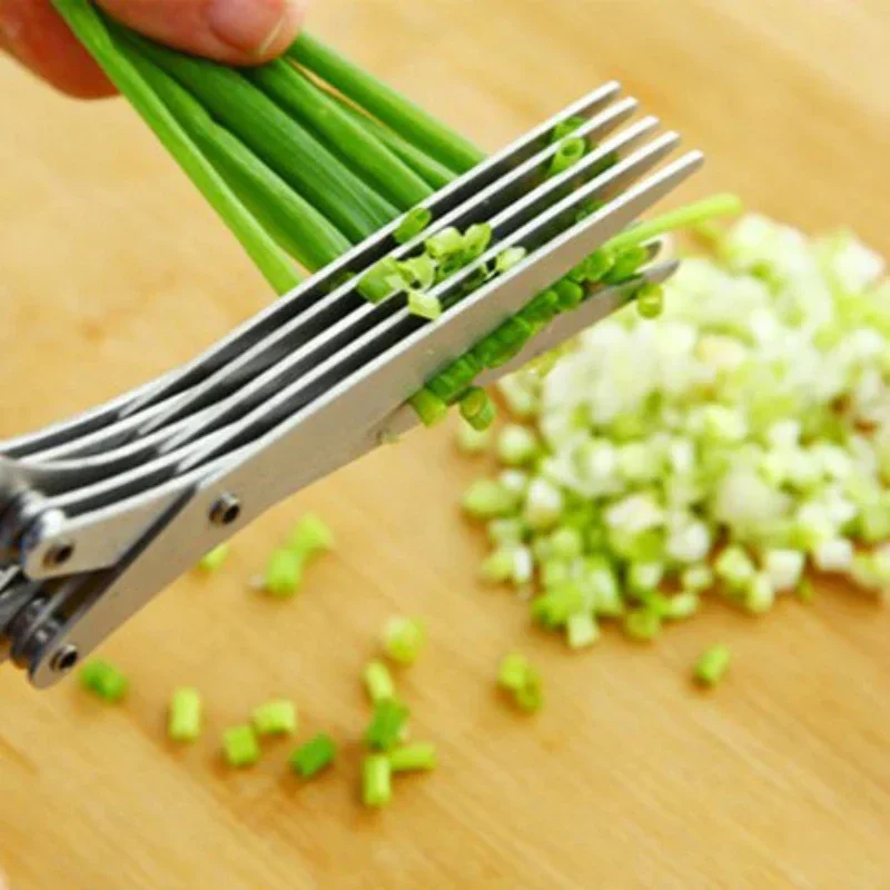 5-Blatt-Küchenschere, Frühling – Herb Scissors 5 Blade Bewertung und Preis